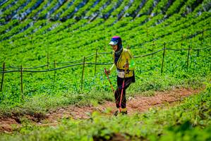 BIB: 
                            <button type="button" onclick="openModal(19163621)" class="btn btn-primary btn-sm float-right btn-popup" data-toggle="modal" data-target=".modal-high-quality">
                        <i class="fas fa-shopping-cart"></i> Add to Cart
                    </button>
                                            <button type="button" onclick="isThisMe(19163621, true)" class="btn btn-success btn-sm float-right btn-popup btn-isme hidden" data-toggle="tooltip" data-placement="bottom" title="นี่คือรูปของคุณใช่ไหม คลิกที่นี่เพื่อเอาเข้าอัลบั้ม">
                        <i class="fas fa-plus"></i> Add to album
                    </button>
                    <button type="button" onclick="isThisMe(19163621, false)" class="btn btn-warning btn-sm float-right btn-popup btn-isnotme hidden">
                        <i class="fas fa-ban"></i> Remove from album
                    </button>